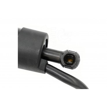 Vérin Hayon de Coffre Arrière Gauche Pour Lexus UX 6802076010