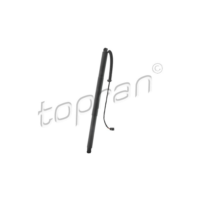 Vérin Hayon de Coffre Pour VW Tiguan Seat Tarraco 5NA827851 5NA827851905