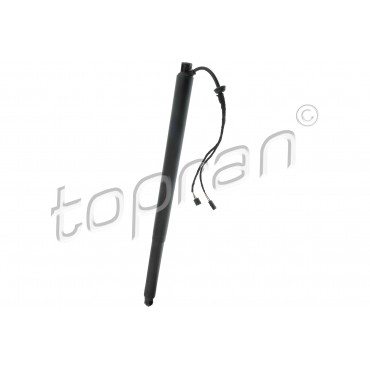 Vérin Hayon de Coffre Pour Skoda Octavia III 5E9827852A 5E9827852B 5E9827852C