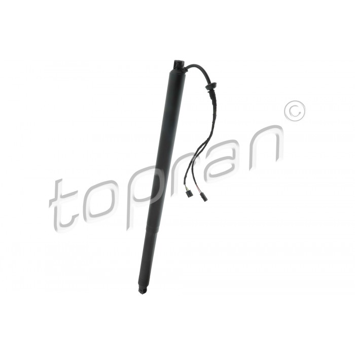 Vérin Hayon de Coffre Pour Skoda Octavia III 5E9827852A 5E9827852B 5E9827852C