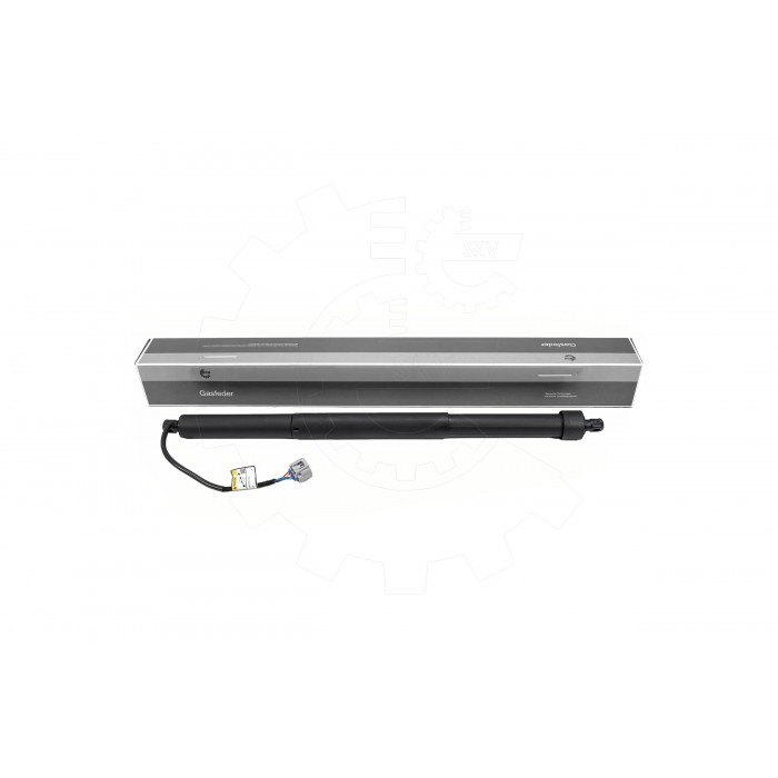 Vérin Hayon de Coffre Arrière Gauche Pour Toyota Land Cruiser 300 6892060010