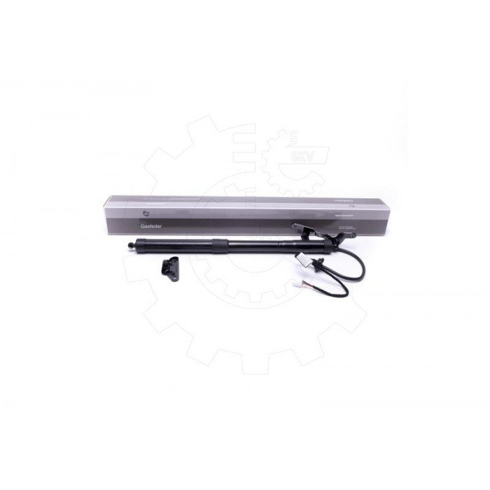 Vérin Hayon de Coffre Arrière Droit Pour Toyota RAV 4 IV 6891009010 6891009012