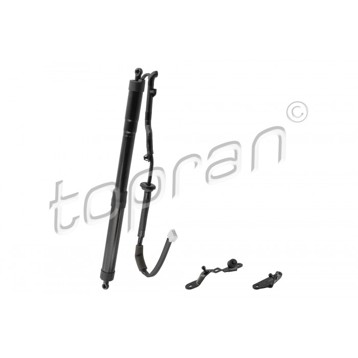 Vérin Hayon de Coffre Pour Toyota RAV 4 IV 6892009010 6892009011 6892009012