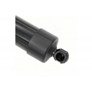 Vérin Hayon de Coffre Arrière Droit Pour Toyota RAV 4 V 689100R060 6891042060