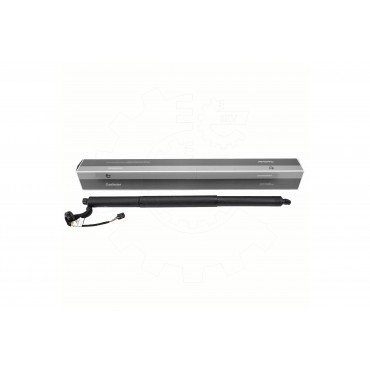 Vérin Hayon de Coffre Arrière Gauche Pour Volvo C40 31690926