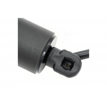 Vérin Hayon de Coffre Arrière Gauche Pour Volvo XC40 31457834 31690985