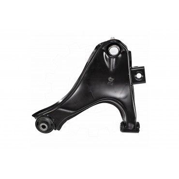 Triangle de Suspension Avant Gauche Pour Daihatsu Terios 4806987402000