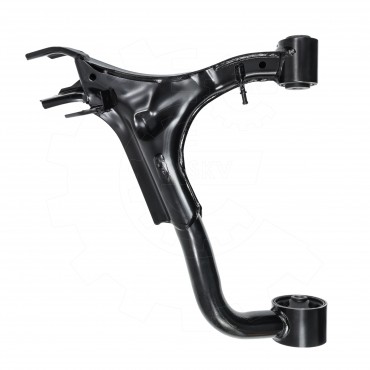 Triangle de Suspension Avant Gauche Pour Land Rover Discovery III Van RGG500293