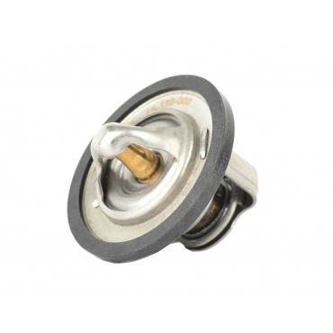 Thermostat d'eau Liquide de...