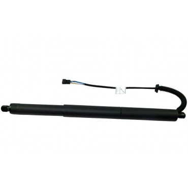 Vérin de capot électrique...