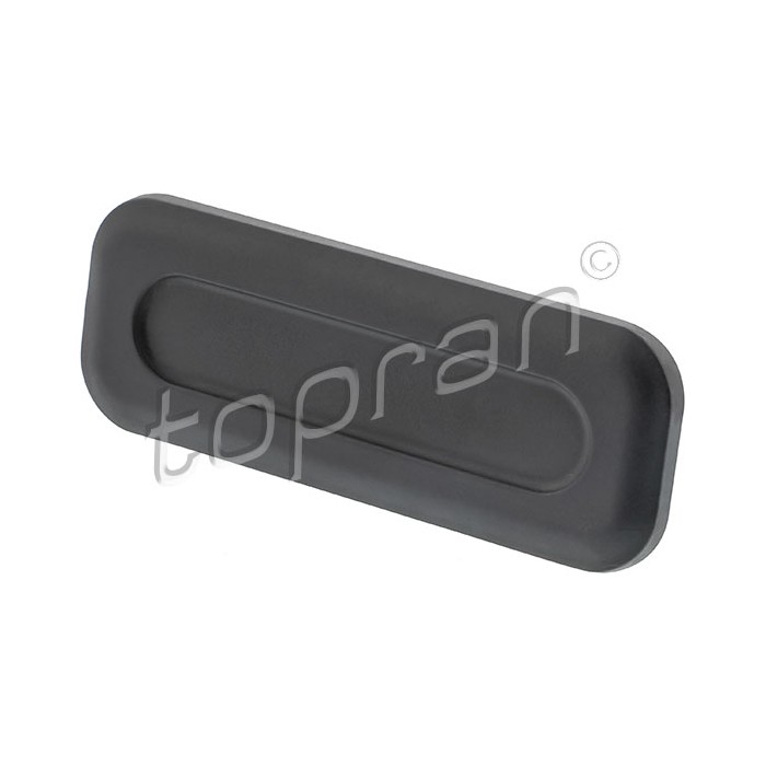 Poignée Hayon de Coffre Pour Peugeot 207 308 508 1007 3008 RCZ Citroën C2 C4