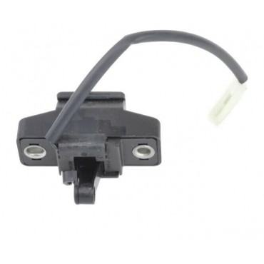 Verrou fermeture de coffre...