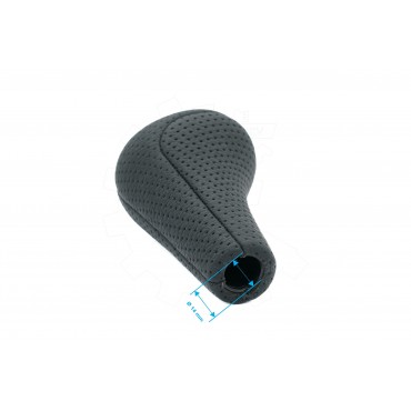 Pommeau Levier de Vitesse Pour BMW X5 E53 Z3 Z4 E85 25111434495 25117500299