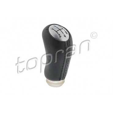 Pommeau Levier de Vitesse Pour Renault Clio II III Logan Modus Sandero Twingo