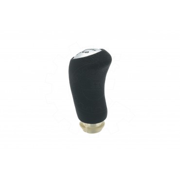 Pommeau Levier de Vitesse Pour Renault Clio II III Logan Modus Twingo 328650918R