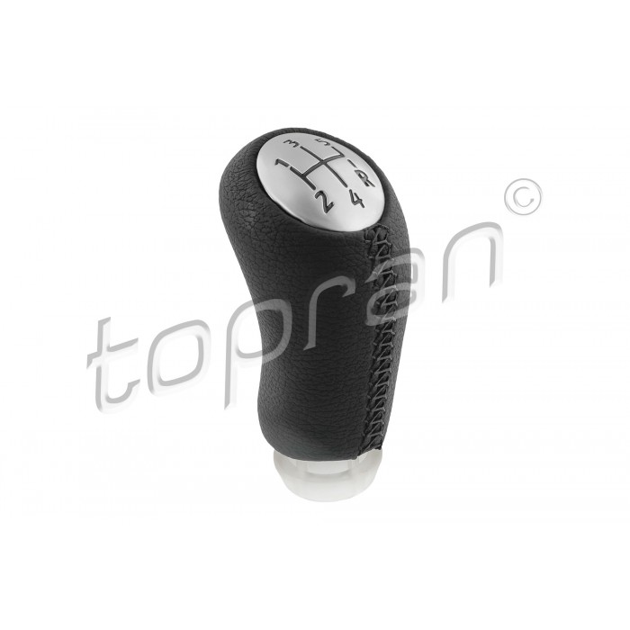 Pommeau Levier de Vitesse Pour Renault Grand Scénic II Megane 8200596154