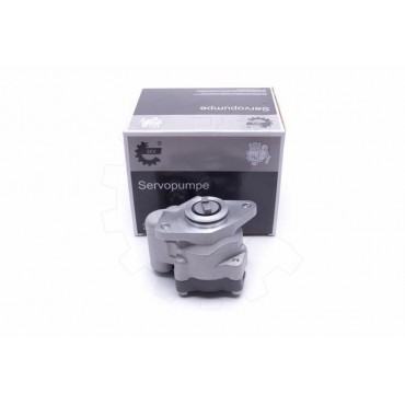 Pompe de Direction Assistée Pour Peugeot Renault Kangoo Laguna VW Audi A2 A4