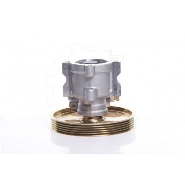 Pompe de Direction Assistée Pour Peugeot 306 Partner Citroën Berlingo Xsara