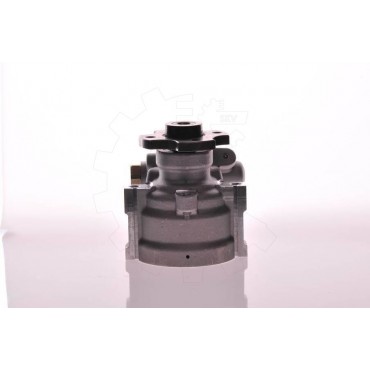 Pompe de Direction Assistée Pour Peugeot Boxer Citroën Jumper 4007E3