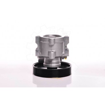 Pompe de Direction Assistée Pour Peugeot 406 Fiat Scudo Citroën Jumpy 4007W5