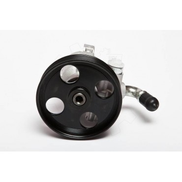 Pompe de Direction Assistée Pour Citroën Xsara 4007W2