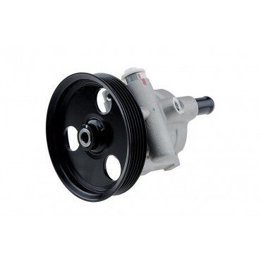 Pompe de Direction Assistée Pour Renault Laguna Megane I Scenic Scénic Dacia