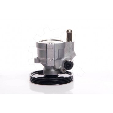 Pompe de Direction Assistée Pour Renault Clio I II Kangoo Logan Megane Scenic