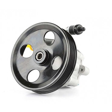 Pompe de Direction Assistée Pour Ford Fiesta V Fusion Mazda 2