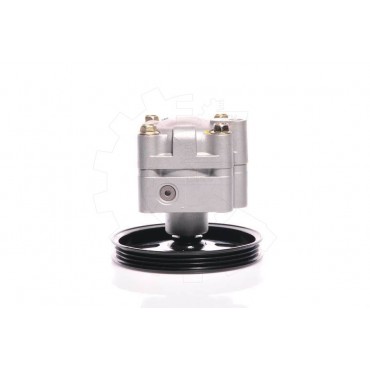 Pompe de Direction Assistée Pour Nissan Almera II 491105M400