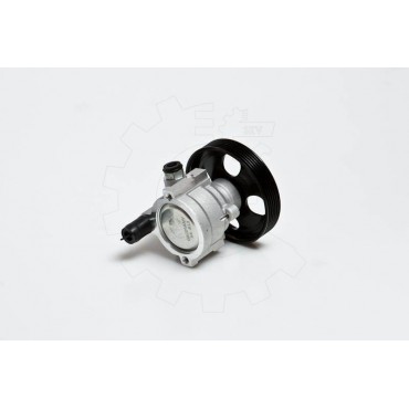 Pompe de Direction Assistée Pour Renault Opel Nissan 491100246R 4405479 4414166