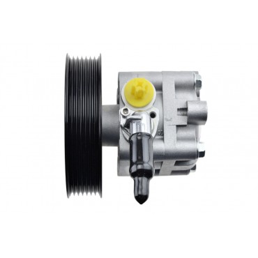 Pompe de Direction Assistée Pour Nissan Murano II 491101AA0A 491101AA0C