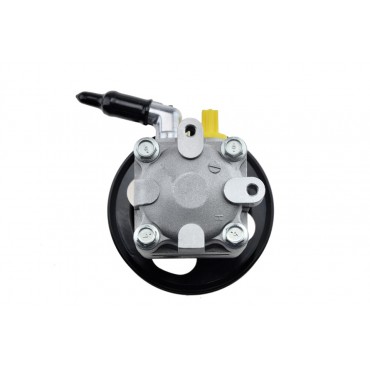 Pompe de Direction Assistée Pour Nissan Murano II 491101AA0A 491101AA0C