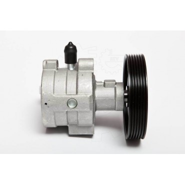 Pompe de Direction Assistée Pour Renault Clio I R19 R21 7700795294 7700795295