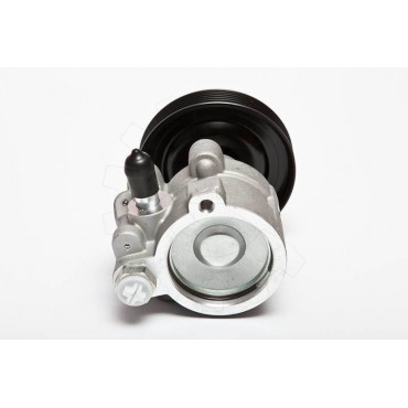 Pompe de Direction Assistée Pour Renault Clio I R19 R21 7700795294 7700795295