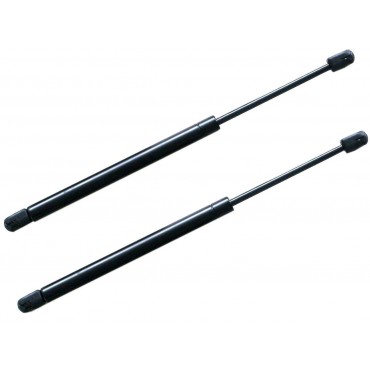 vérins Hayon de coffre x2 pour ALPINA B5 Break BMW Serie 5 Touring 51247178273