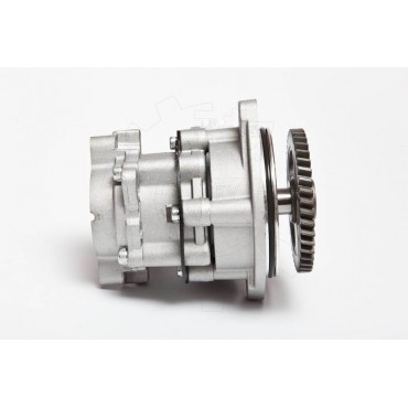 Pompe de Direction Assistée Pour VW LT 28-35 28-46 062145165 062145165C