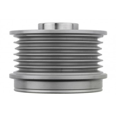 Poulie d'Alternateur Pour Peugeot Renault Opel Fiat 1608858180 6204212 51805799