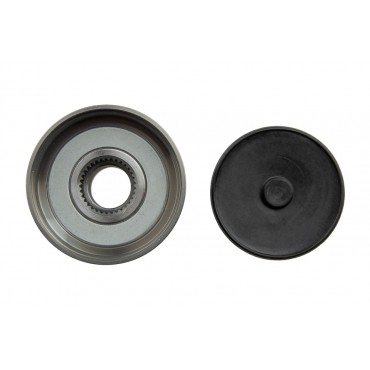 Poulie d'Alternateur Pour Fiat Grande Punto Alfa Romeo Mito 51854916 77364721