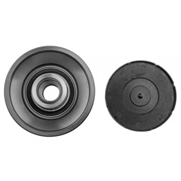 Poulie d'Alternateur Pour Chrysler Voyager IV 04868429AC 04868429AD 104861513AE
