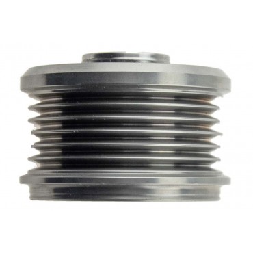 Poulie d'Alternateur Pour Peugeot Fiat Citroën 570200 5702000 5702HO 5702NA