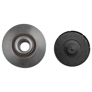 Poulie d'Alternateur Pour Peugeot 407 607 Citroën C5 C6