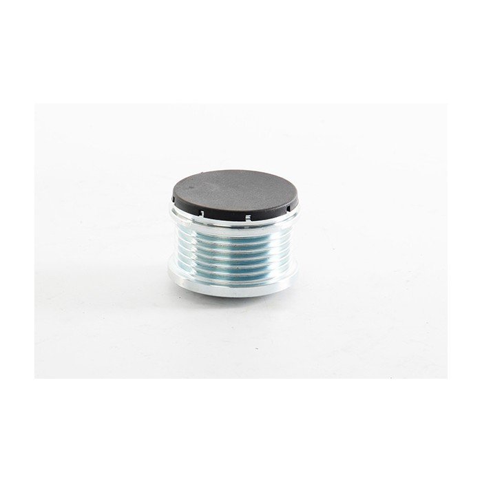 Poulie d'Alternateur Pour Ford B-Max Mazda Volvo AG9T10300BA Y66618300A 31285399