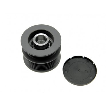 Poulie d'Alternateur Pour Ford Jaguar Land Rover Volvo 9G9N10300BB BJ3210300CA