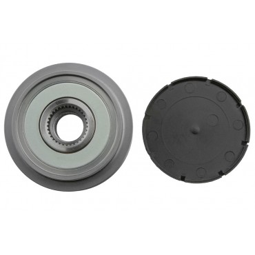 Poulie d'Alternateur Pour Hyundai Terracan Kia Carnival/Grand Carnival III I II