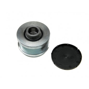 Poulie d'Alternateur Pour Renault Clio III Modus Thalia 8200360480 8200360481