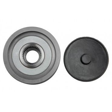 Poulie d'Alternateur Pour VW Lupo Polo Seat Arosa