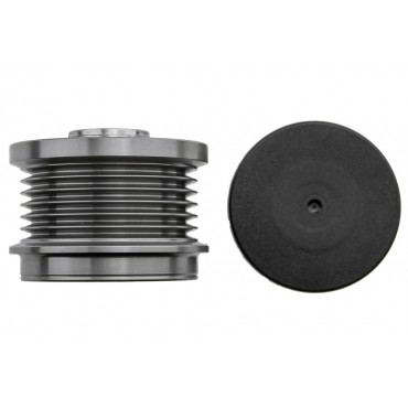 Poulie d'Alternateur Pour Volvo C30 S40 II S60 S80 V40 V50 V60 I 31285815