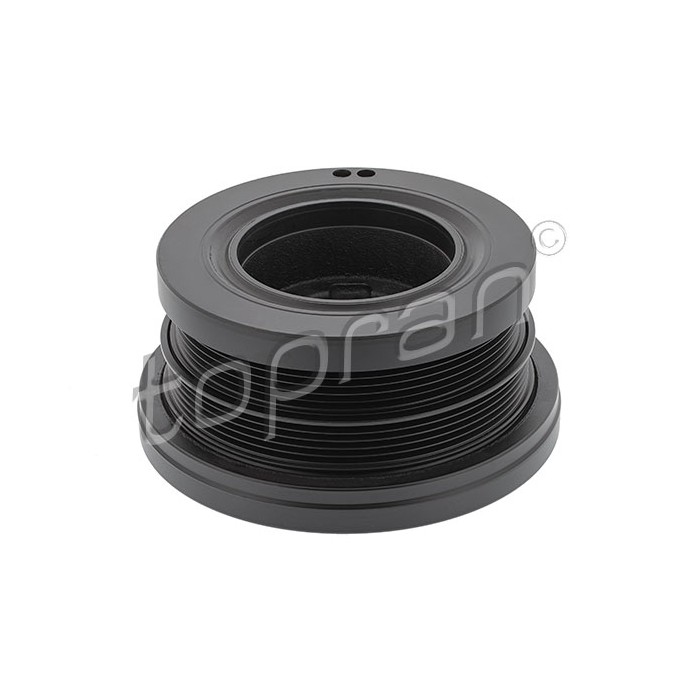 Poulie Damper Pour BMW Série 3 E46 5 E39 X5 E53 Land Rover Range Rover III