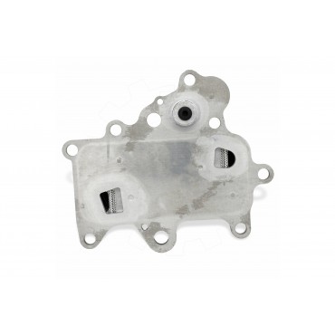Radiateur d'Huile Moteur Pour Fiat Freemont Alfa Romeo Giulietta 55235481