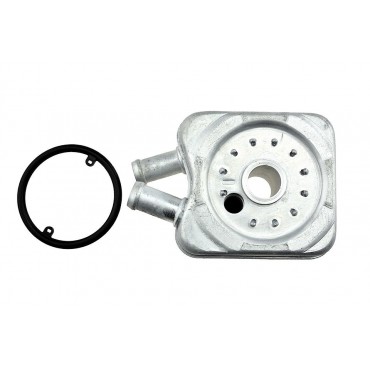 Radiateur d'Huile Moteur Pour VW Audi Seat Ford 68117021BX 0271170211 1002825